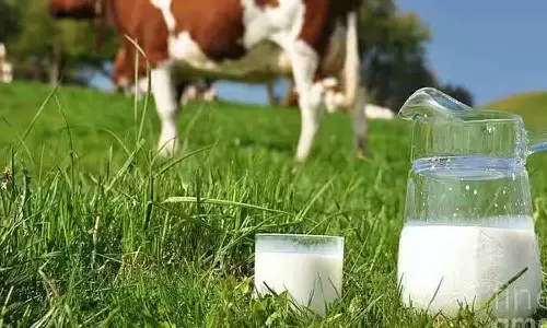 14,121 உற்பத்தியாளர்கள் மூலம் தினமும் 1,38,000 லிட்டர் பால் கொள்முதல் - கலெக்டர் தகவல்