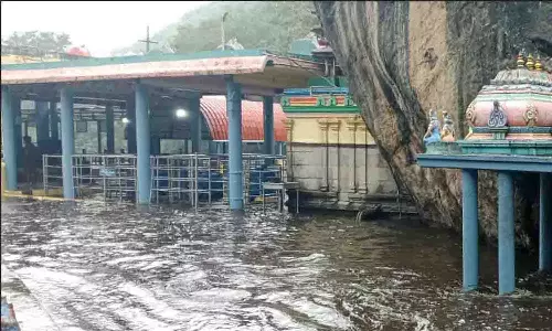 உடுமலை பகுதியில் தொடர் மழையால் திருமூர்த்தி மலையில் வெள்ளப்பெருக்கு - சுற்றுலா பயணிகள் குளிக்க தடை