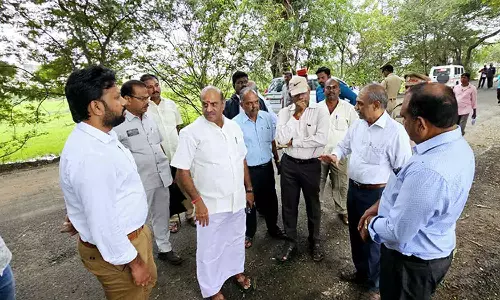 தொடர் மழையால் விளை நிலங்களில் தண்ணீர் தேங்கி பயிர்கள் சேதம்