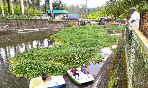 வால்பாறை படகு இல்லத்தில் ஆகாயத்தாமரை செடிகளை அகற்றும் பணி தீவிரம்