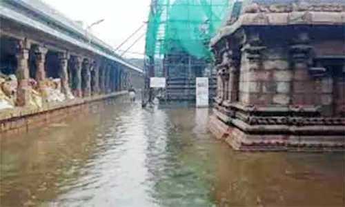 அமிர்தகடேஸ்வரர் கோவிலில் மழைநீர் தேங்கியது