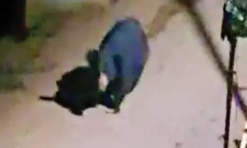 குட்டியுடன் குடியிருப்புக்குள் முகாமிட்டுள்ள கரடி: பொதுமக்கள் அச்சம்