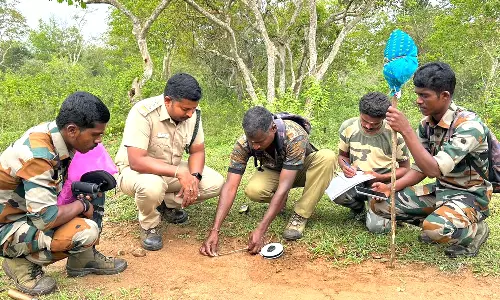 முதுமலை வனப்பகுதியில் பருவமழைக்கு பிந்தைய வனவிலங்குகள் கணக்கெடுப்பு பணி இன்று தொடங்கியது