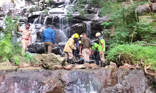 அருவியில் குளிக்க சென்றபோது 100 அடி பள்ளத்தில் தவறி விழுந்த கூலித்தொழிலாளி மீட்பு