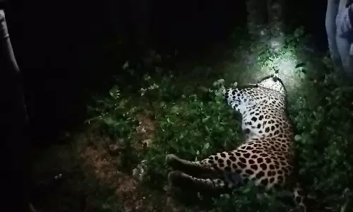 தமிழக அதிகாரியுடன் ஆந்திர வனத்துறையினர் வாக்குவாதம்