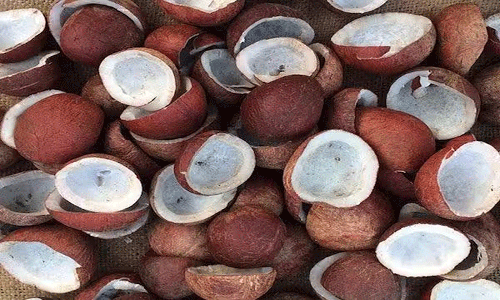 ரூ.83 லட்சத்துக்கு கொப்பரை ஏலம்