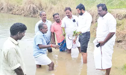 மழை பாதித்த பகுதிகளில் ஷாநவாஸ் எம்.ஏல்.ஏ. ஆய்வு