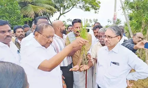 மழையால் பாதிப்பட்ட பயிர்களுக்கு விரைவில் நிவாரணம்