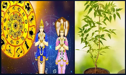 குழந்தை பாக்கியம் பெற சர்ப்ப சாந்தி