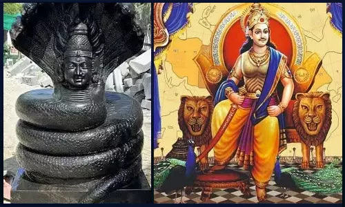 சரும வியாதியை குணப்படுத்திய நாகர் சிலை கருப்பு மை