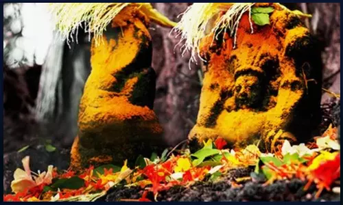 முற்பிறவி தோஷங்கள் நீக்கும் நாகராஜ விரதம்