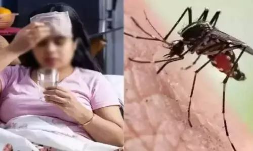 அரசு ஆஸ்பத்திரியில் டெங்கு, எலி காய்ச்சல் பாதித்த 5 பேர் அனுமதி