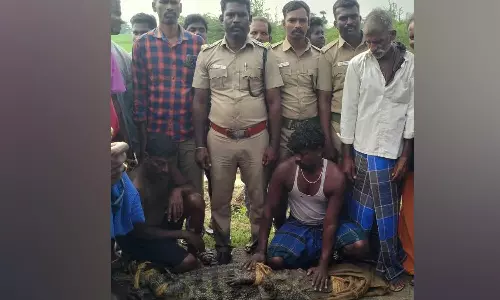 சிதம்பரத்தில் கிராம குளத்திற்குள் புகுந்த முதலை மீட்பு