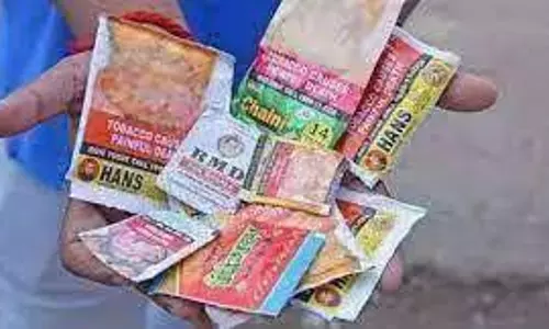 தடை செய்யப்பட்ட புகையிலை பொருட்கள் விற்றவர் மீது வழக்கு