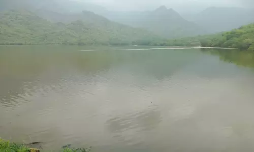 தொடர் மழையால் ஒரே நாளில் 3 அடி உயர்ந்து நிரம்பிய கருப்பாநதி அணை