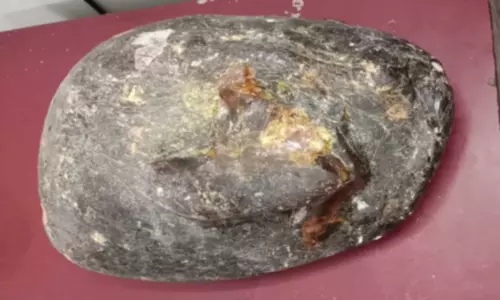 வனத்துறையினர் சோதனையில் 10 கிலோ பறிமுதல்: திமிங்கல உமிழ்நீரை ஆந்திராவில் வாங்கிய கும்பல்