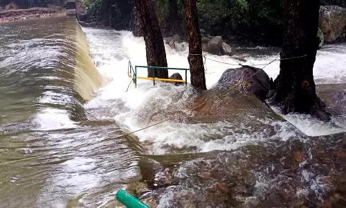 தண்ணீர் வரத்து அதிகரிப்பு- களக்காடு தலையணையில் குளிக்க தடை