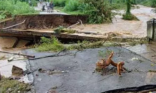 மழையால் தற்காலிக தரைபாலம் இடிந்து விழுந்தது