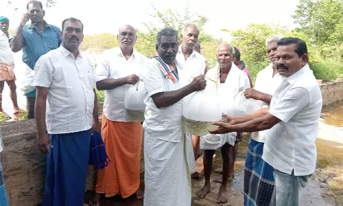 முசுவனூத்து கண்மாயில் 30 ஆண்டுகளுக்கு பிறகு மீன் வளர்க்கும் விவசாயிகள்