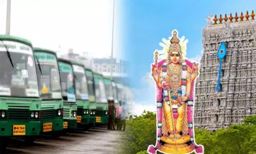 திருப்பூரில் இருந்து திருச்செந்தூருக்கு சிறப்பு பஸ்கள் இயக்கம்