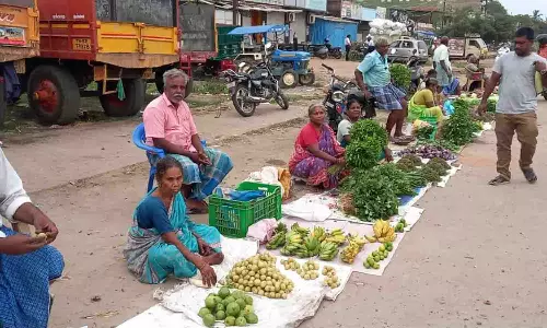 சாலையோர வியாபாரிகளின்  வாழ்வாதாரத்தை பாதுகாக்க தனி விற்பனை மண்டலம் - கலெக்டர் அறிவுறுத்தல்