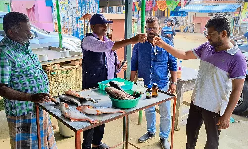 ஆண்டிபட்டி அருகே மீன்கடைகளில் உணவு பாதுகாப்புத்துறை அதிகாரிகள் திடீர் சோதனை