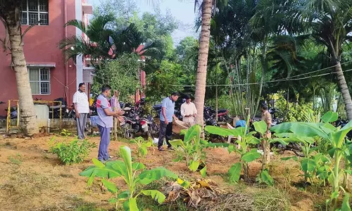 விவசாயிகளாக மாறிய போலீசார்: போலீஸ் நிலையத்தை சுற்றி காய்கறி-மூலிகை தோட்டம்