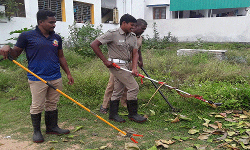 குடியிருப்பு பகுதியில் புகுந்த சாரைப்பாம்பு