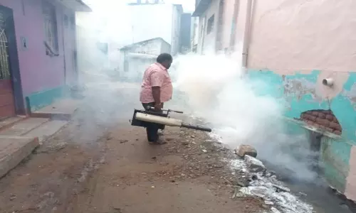 டெங்கு கொசு மருந்து அடிக்கும் பணி தீவிரம்