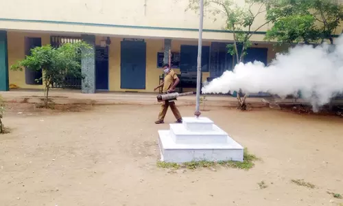 டெங்கு காய்ச்சலை கட்டுப்படுத்த கொசு மருந்து அடிக்கும் பணி தீவிரம்