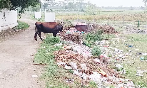 சாலையோரம் தேங்கி  கிடக்கும் குப்பைகளால் தொற்று நோய் பரவும் அபாயம்