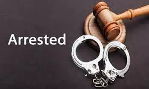 பெயிண்ட் அடிக்க சென்ற வீட்டில் கைவரிசை 6½ பவுன் நகை திருடிய தொழிலாளி கைது