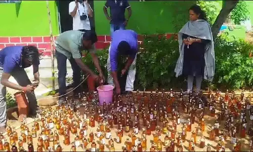 போலீசாரால் பறிமுதல் செய்யப்பட்ட 1000 மதுபாட்டில்கள் தரையில் ஊற்றி அழிப்பு