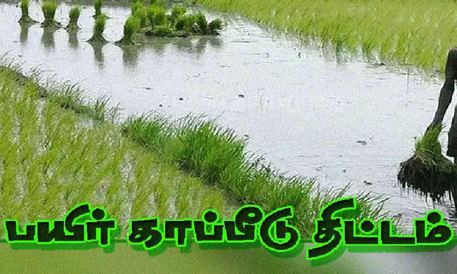 நெல் பயிர் காப்பீடு செய்ய கால அவகாசம் 22-ந்தேதி வரை நீட்டிப்பு நெல் பயிர் காப்பீடு செய்ய கால அவகாசம் 22-ந்தேதி வரை நீட்டிப்பு