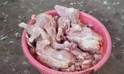 ஏலாக்குறிச்சியில் - சுகாதாரமற்ற 5 இறைச்சி கடைகளுக்கு நோட்டீஸ்