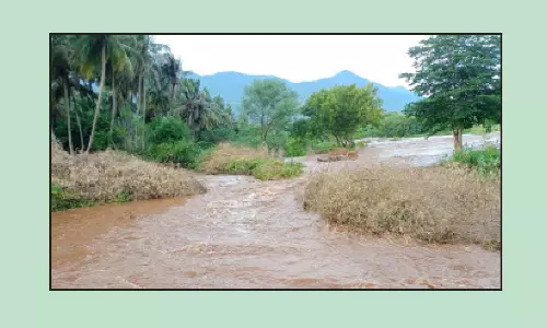 குட்லாடம்பட்டி ஓடையில் வெள்ளப்பெருக்கு