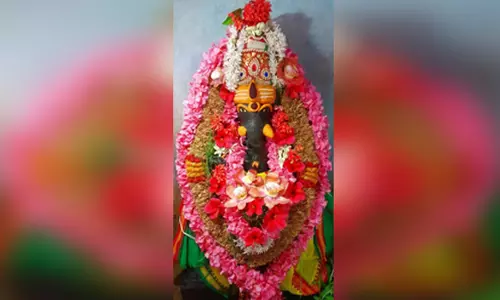 வளர்பிைற சதுர்த்தியையொட்டி விநாயகர் கோவிலில் சிறப்பு அபிஷேக ஆராதனை