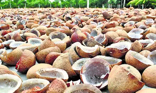 பெருந்துறையில் ரூ.1.57 கோடிக்கு கொப்பரை ஏலம்