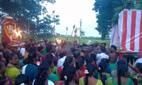 செய்துங்கநல்லூரில் விவசாயம் செழிக்க வேண்டி நெல்களத்தில் சூரசம்ஹார நிகழ்ச்சி