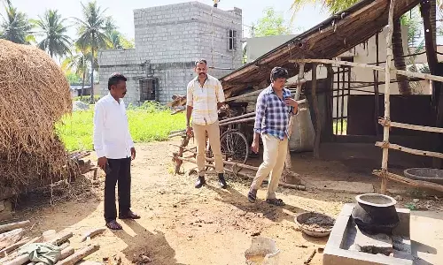 கிராம மக்களை அச்சுறுத்தி வரும் மர்ம விலங்கு