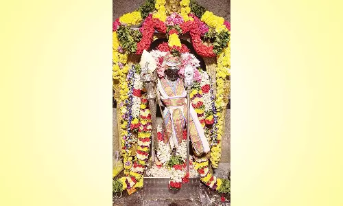 வளையாம்பட்டு பழனி ஆண்டவர் கோவிலில் முருகர்- வள்ளி திருக்கல்யாணம்