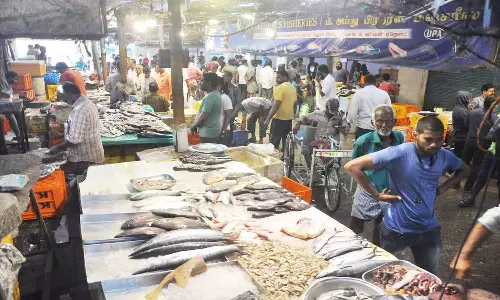 கார்த்திகை மாத பிறப்பையொட்டி வெறிச்சோடிய வேலூர் மீன் மார்க்கெட்