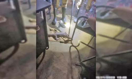 பல்லடம் அருகே வீட்டுக்குள் புகுந்த உடும்பு