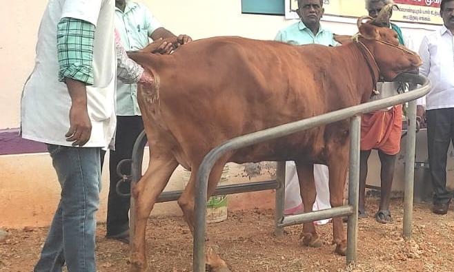 கால்நடை சிகிச்சை முகாம்