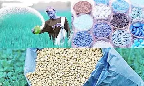 சிறுதானிய திட்டத்தின் கீழ் 50 சதவீத மானியத்தில் இடுபொருட்கள் -  விவசாயிகள் பயன் பெற அழைப்பு