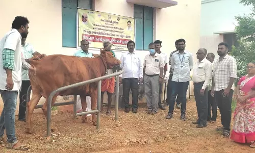 70-வது அனைத்திந்திய கூட்டுறவு வார விழாவையொட்டி இலவச கால்நடை சிகிச்சை முகாம்