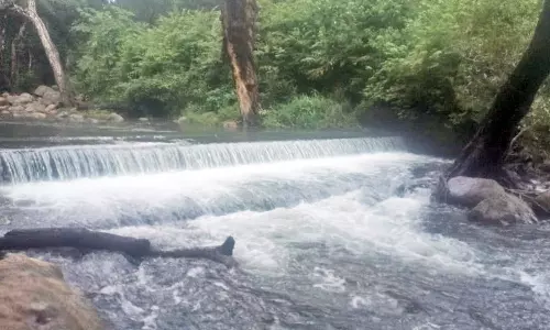 நெல்லை, தென்காசி மாவட்டங்களில் தொடர் மழையால் அணைகளின் நீர்மட்டம் அதிகரிப்பு