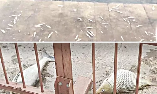 மாரியம்மன் தெப்பக்குளத்தில் கழிவுகள் கலந்து கடும் துர்நாற்றம்