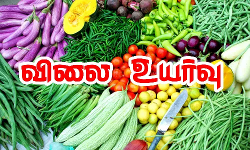 சபரிமலை சீசன் : ஒட்டன்சத்திரம் மார்க்கெட்டில் காய்கறிகள் விலை உயர்வு