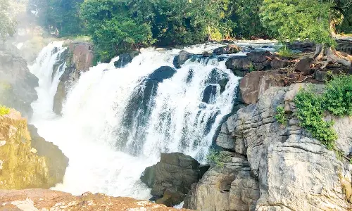 ஒகேனக்கல்லுக்கு நீர்வரத்து 5 ஆயிரம் கனஅடியாக அதிகரிப்பு